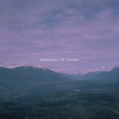 isolatedmix 134 - Artefakt