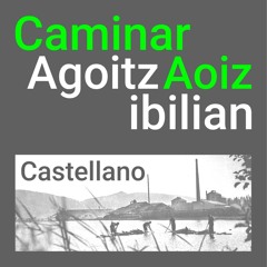 CAMINAR AOIZ - AGOITZ IBILIAN (CASTELLANO)