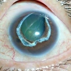 the potters - keterlaluan (Muhammad Fikri edit).mp3