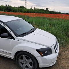 Мандри - Ой, чий то кінь стоїть (MAVER Remix)