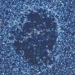 crawling around in the dirt (and junk)