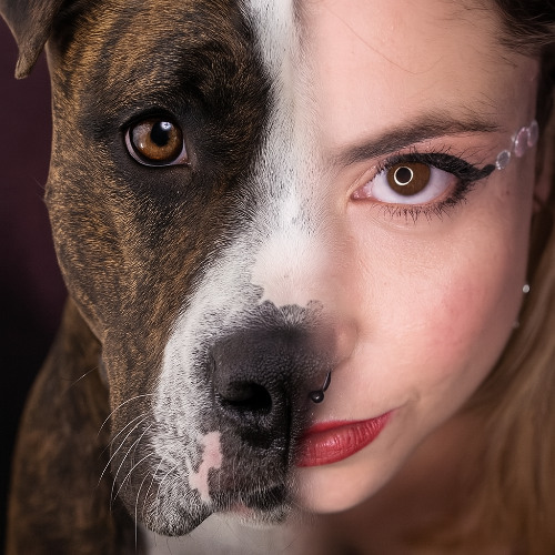 CLARAMONTE - PERRA (FINAL MIX) - FREE DOWNLOAD LIMITED TIME