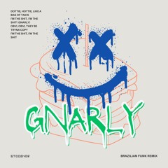 KATSEYE - GNARLY (RyckShow Brazilian Funk Remix)