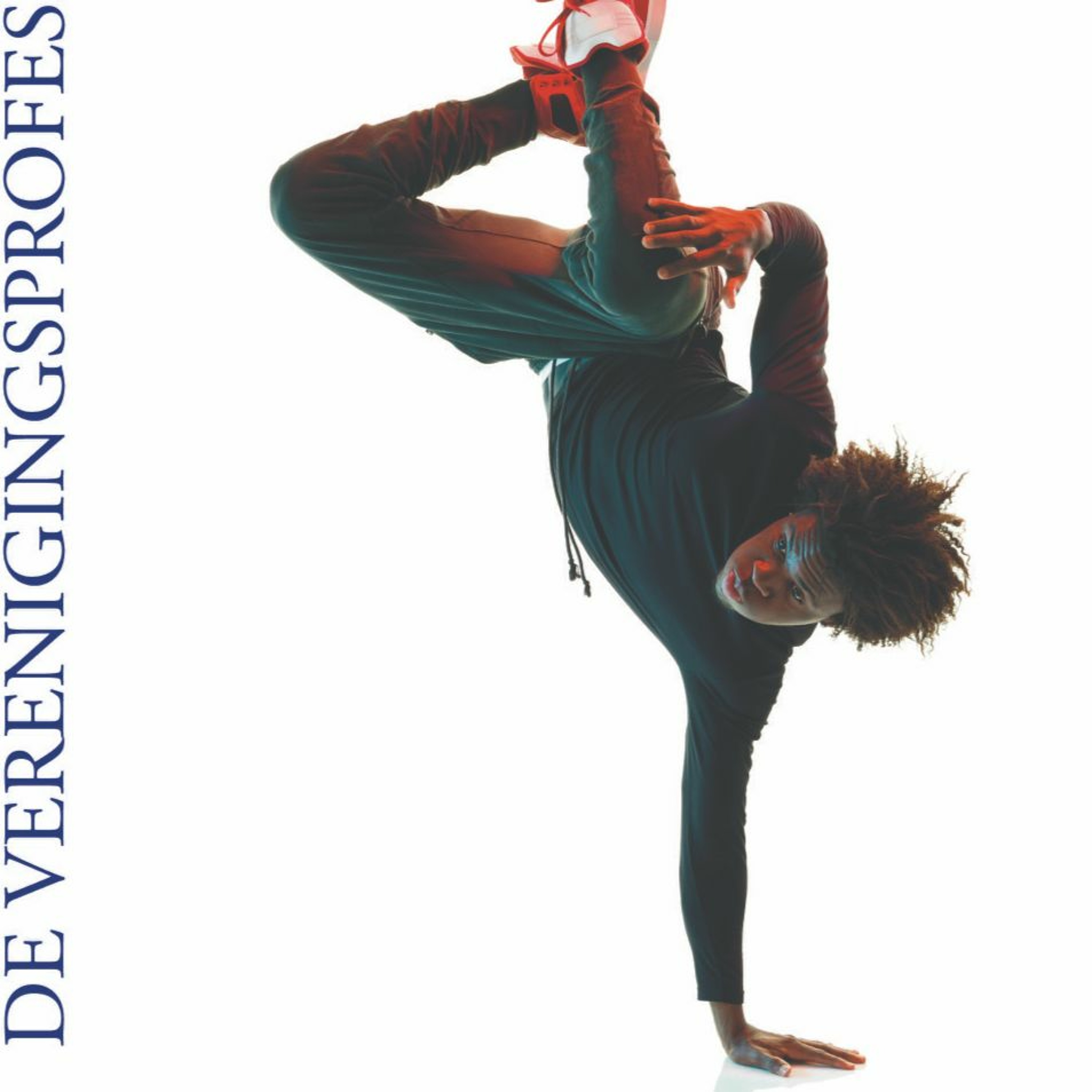 VP de Verenigingsprofessional