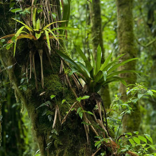 flexsin-free da pain *SEVENDAYSTRAIGHT*