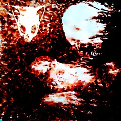 guts&bones (glamoonn + fumiko!)