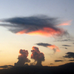 DON'T GARGLE WITH THAT v2.1