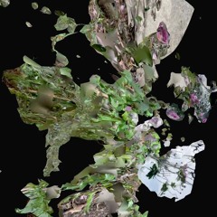 Garden Of Motion #08 - w/ bdstf - 02.06.2024