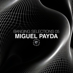 Banging Selections #05 by Miguel Payda