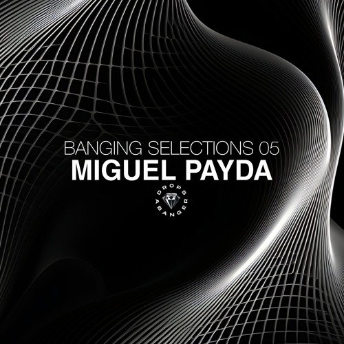 Banging Selections #05 by Miguel Payda