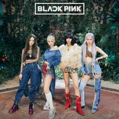 Blackpink - How You Like That (Fan Big Room Remix)