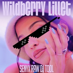 Nina Chuba - Wildberry Lillet (Senyx Raw DJ TOOL)