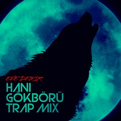 Efe Demir - Hani Gökbörü Trap Mix