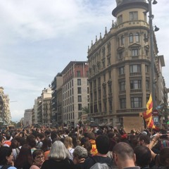 Hawaiian Chewbacca Instrumental