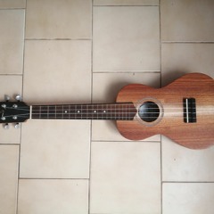 - ukulele experience.mp3