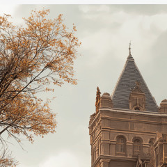 downtown-abbey_rust_voxless_(-A-)