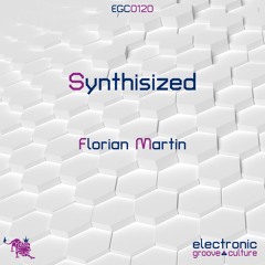 Florian Martin - Synthisized