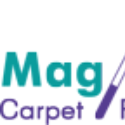 A Deeper Clean: Why Professional Carpet Cleaning Matters for Your Home