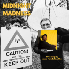 Midnight Madness: 3 Songs by Annie-Flore Batchiellilys