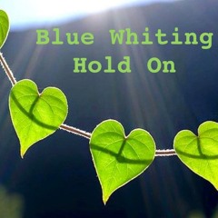 Hold On