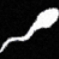 youngest person ever sing fucking brainrot song