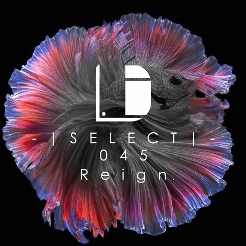 Drone Select 045 /// Reign.