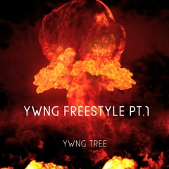YWNG FREESTYLE Pt.1