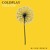 Artwork for Coldplay - Yellow (M+ike Remix)