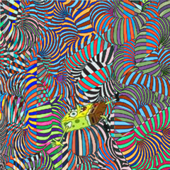 RAZZLE TRIP