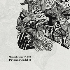 PREMIERE : Mersel - Dionaea [Monochrome Records]