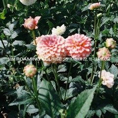 Roaming Course Nr. 41 (23/09/22, Radio 80000)