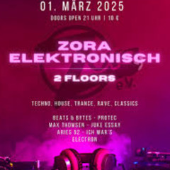 Juke Essay@Zora_Halberstadt_01.03.2025