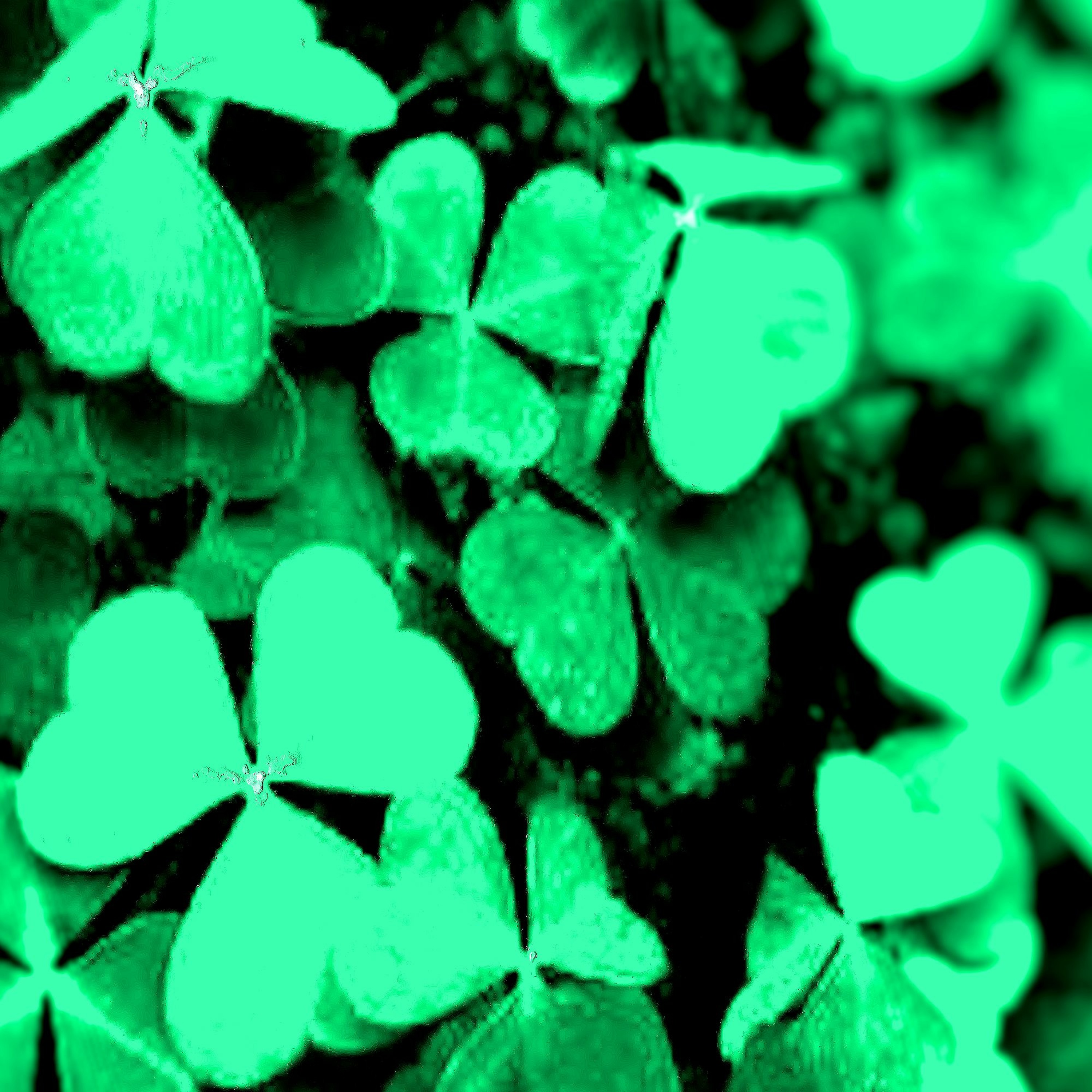 Shamrock Improvisation Nr.1 episode artwork