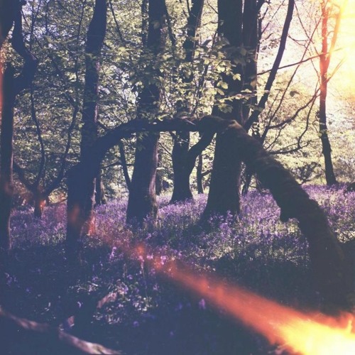 4-7-8 (Music for Nervous System Regulation)