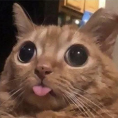 Nhạc như nhạc 🫠