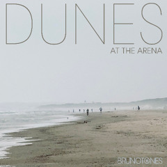 Dunes at the Arena