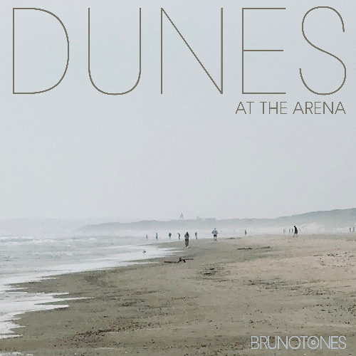 Dunes at the Arena