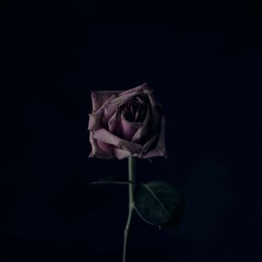 One Last Goodbye (with The Circulating Light) REMIX