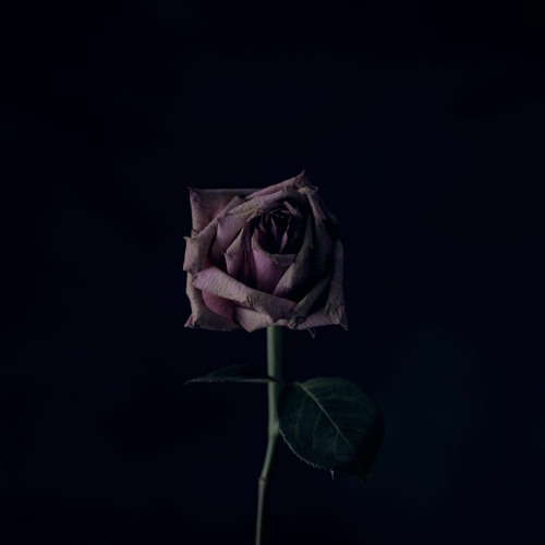 One Last Goodbye (with The Circulating Light) REMIX