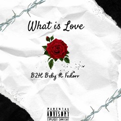 What is Love Ft Fedorr