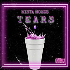 Mista Mozes-Tears (Southside Flip).mp3