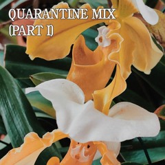 Quarantine Mix (Part I)