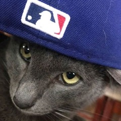 cortis - FaSHioN (cover)