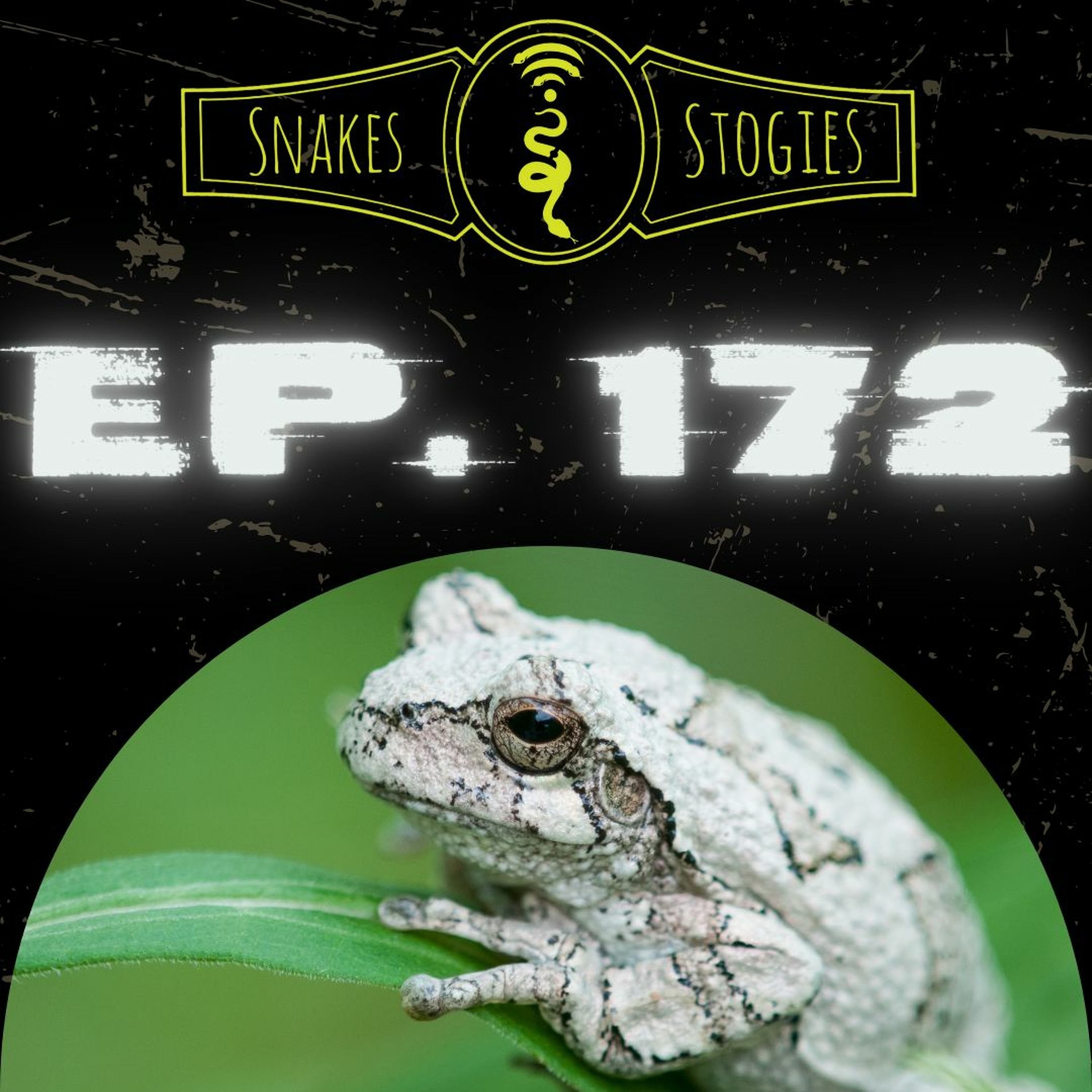 Aaron Capouellez of Woods & Forests | Snakes & Stogies Ep. 172
