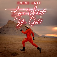 Love What Ya Got! - Posse Unit