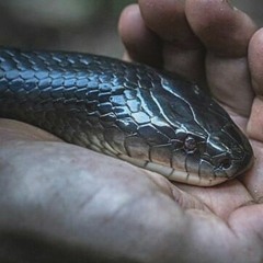 HASTA EL AMANECER XXX LA MANCHA