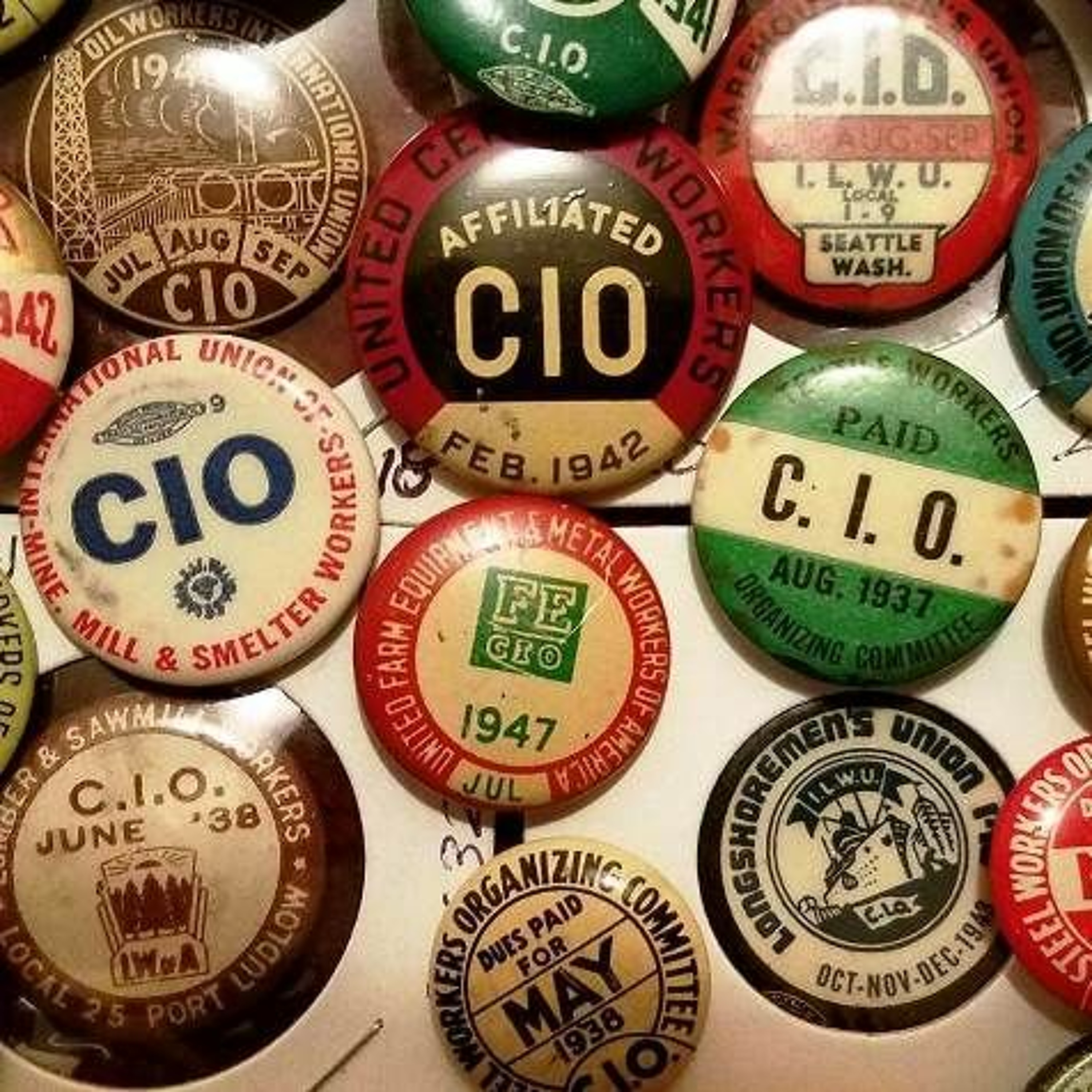 Organize the Unorganized: The Rise of the CIO
