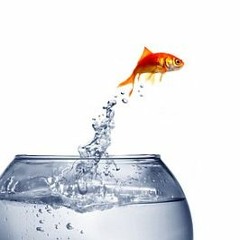 Instrumental Compositions (written with Chris Long)