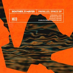 Routher, D Mayer - Parallel Space (Portek Remix)