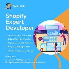 Shopify Expert Developer